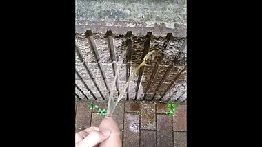 ??????????????