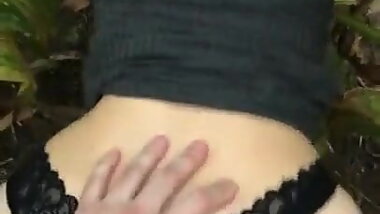 American beautiful in nature