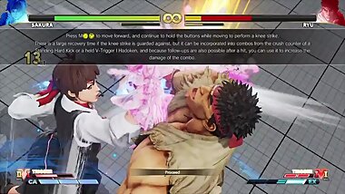 Sakura Demonstration Pt2 - SFV
