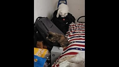 teen catfight in bed black VS white